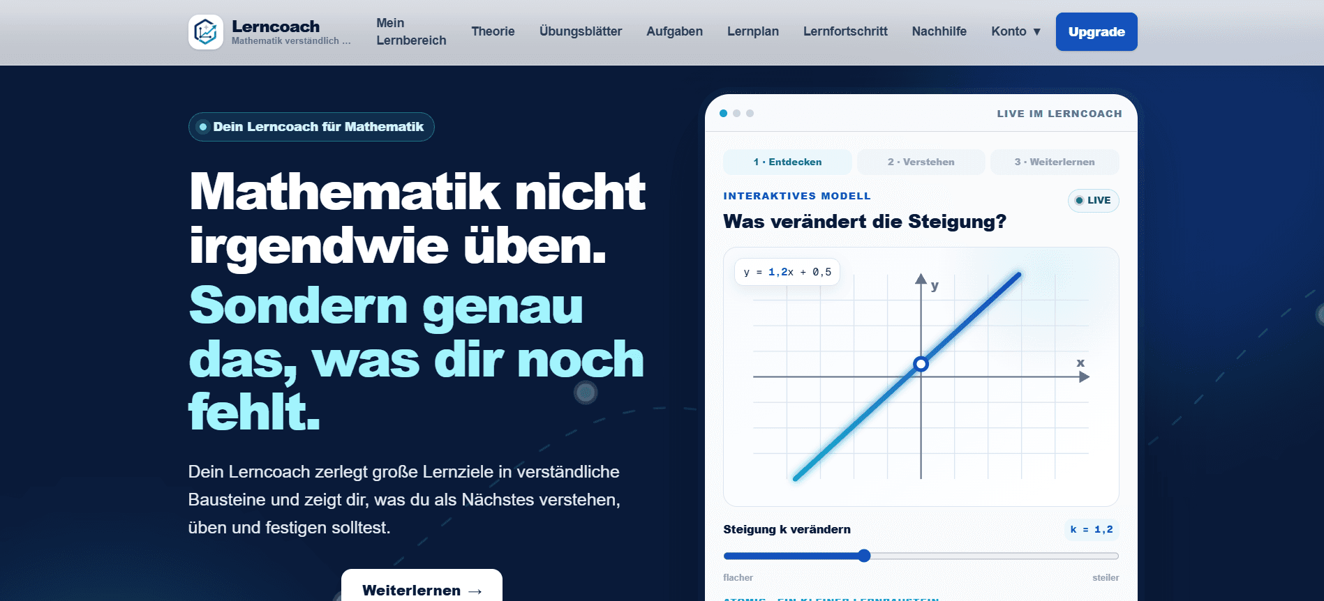 Startseite der Lernplattform mit einer interaktiven Darstellung zur Steigung einer Geraden.